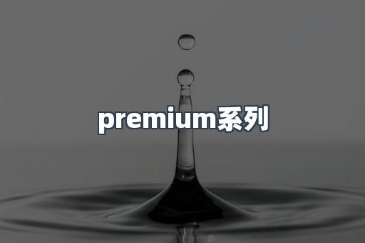 premium系列